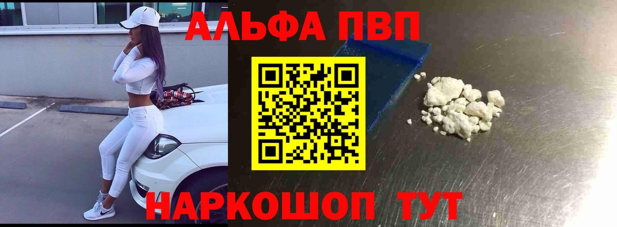 Альфа ПВП СК Шахты