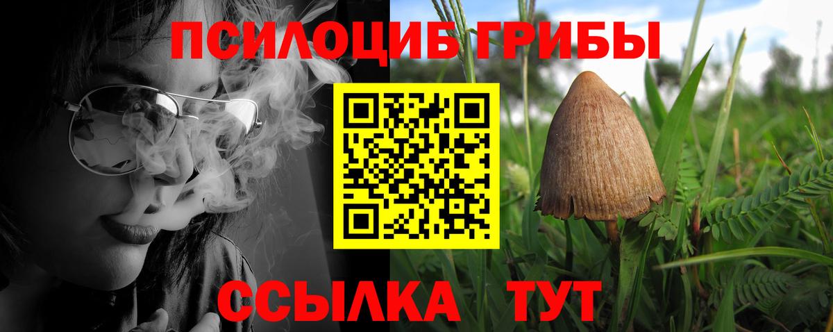 Шахты  Псилоцибиновые грибы мицелий  Вход с VPN  Галлюциногенные грибы GOLDEN TEACHER 