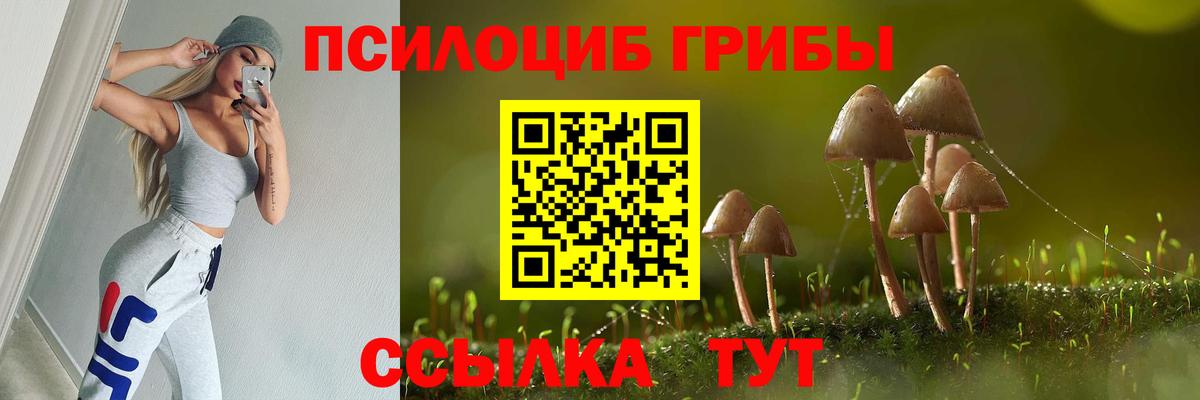 Псилоцибиновые грибы ЛСД Шахты